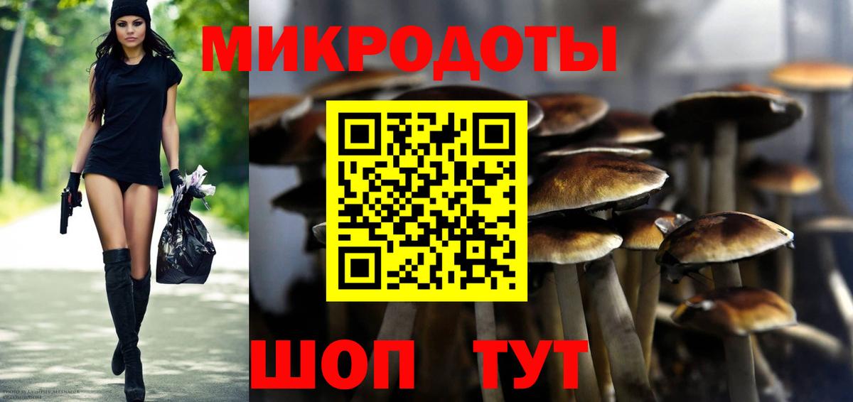 Лосино-Петровский  Псилоцибиновые грибы GOLDEN TEACHER  где найти наркотики  Вход с VPN 
